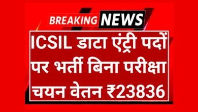 ICSIL Data Entry