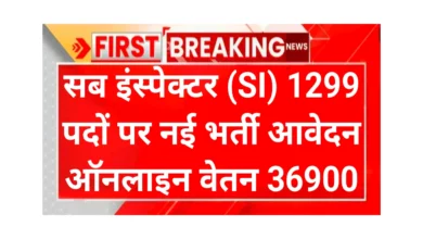 Sub Inspector