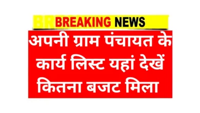 Gram Panchayat Work List