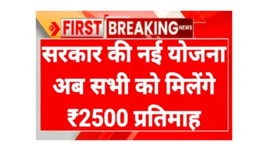 Government Scheme