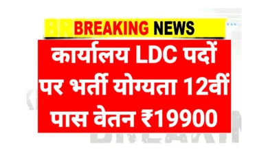 Office LDC