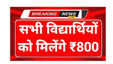 Govt Schemes announcement rs800